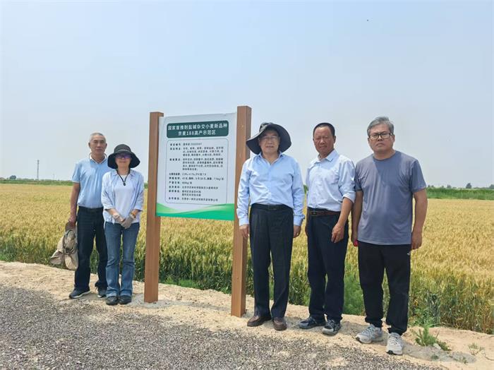 1750302465956210.jpg 11.jpg